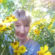 ���������� ������, ���� ������� ����, 48 ���, ������������ ��� ������, ����� � ���������