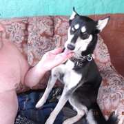  ,   , 62 ,   