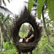 ���������� ������-��-����, ���� ������� ������, 36 ���, ������������ ��� ������, ����� � ���������, c�������� ���������