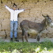 ���������� �������, ���� ������� Hasratshoh, 31 ���, ������������ ��� ������, ����� � ���������, c�������� ���������