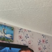 ���������� �����, ���� ������� ����, 49 ���, ������������ ��� ������, ����� � ���������, c�������� ���������