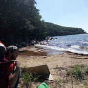 ���������� ����������, ���� ������� �������, 42 ����, ������������ ��� ������, ����� � ���������, c�������� ���������