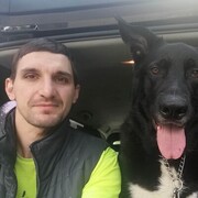  ,   , 41 ,   ,   