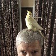  ,   , 55 ,  