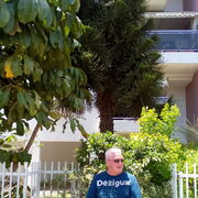 ���������� ������, ���� ������� ����, 50 ���, ������������ ��� ������, ����� � ���������