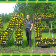  ,  , 36