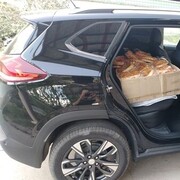 ���������� �������, ���� ������� ������, 31 ���, ������������ ��� ������, ����� � ���������, c�������� ���������