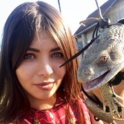  ,   Leto, 24 ,   ,   , c 