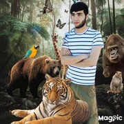 ���������� �����, ���� ������� ��������, 27 ���, ������������ ��� ������, ����� � ���������