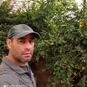 ���������� ������, ���� ������� �����, 49 ���, ������������ ��� ������, ����� � ���������, c�������� ���������