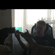 ���������� ������������, ���� ������� ����, 27 ���, ������������ ��� ������, ����� � ���������, c�������� ���������, ���������