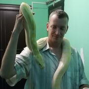 ���������� ������, ���� ������� �������, 46 ���, ������������ ��� ������, ����� � ���������