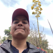  ,   Hector, 39 ,   ,   , c , 