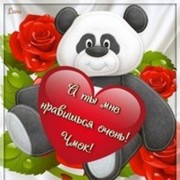 ���������� ������, ���� ������� �������, 35 ���, ������������ ��� ������, ����� � ���������, c�������� ���������