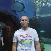  -,   , 44 ,  