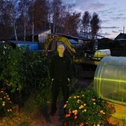 ���������� ������, ���� ������� �������, 52 ����, ������������ ��� ������, ����� � ���������