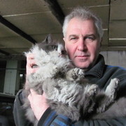 ���������� �����������, ���� ������� ������, 59 ���, ������������ ��� ������, ����� � ���������, c�������� ���������