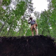 ���������� �����-���������, ���� ������� ����, 29 ���, ������������ ��� ������, ����� � ���������, c�������� ���������, ���������