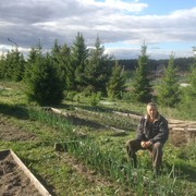 ��� ����-������