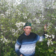  ,   , 59 ,   
