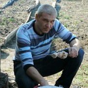 ���������� �����, ���� ������� �������, 50 ���, ������������ ��� ������, ����� � ���������, c�������� ���������