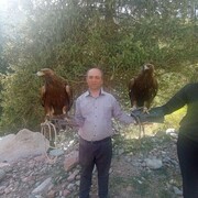  ,   Welat, 45 ,   ,   , c 