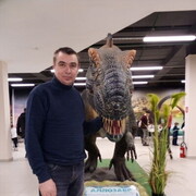 ���������� ������, ���� ������� �������, 48 ���, ������������ ��� ������, ����� � ���������, c�������� ���������