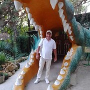   ,   , 60 ,   ,   