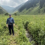 ���������� ����������, ������� Nodirbek, 35