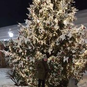 ���������� ��������������, ���� ������� �������, 30 ���, ������������ ��� ������, ����� � ���������