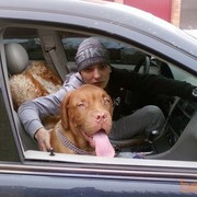 ���������� ������-��-����, ���� ������� �����, 35 ���, ������������ ��� ������, ����� � ���������, c�������� ���������