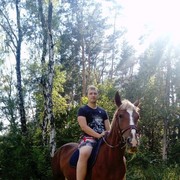 ���������� ���������������, ���� ������� ���������, 31 ���, ������������ ��� ������, ����� � ���������, c�������� ���������