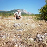 ���������� ������, ���� ������� ��������, 44 ����, ������������ ��� ����� � ���������, c�������� ���������