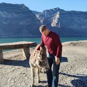 ���������� ������, ���� ������� ������, 50 ���, ������������ ��� ������, ����� � ���������, c�������� ���������