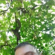 ,   , 44 ,   ,   , c 