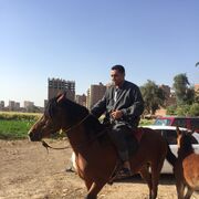  Al Ghardaqah,   Miro, 40 ,   c 