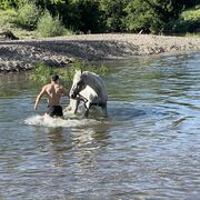 ���������� ������, ���� ������� ���, 31 ���, ������������ ��� ������, ����� � ���������, c�������� ���������, ���������