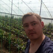  ,   , 37 ,     , c 