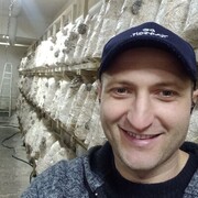 ���������� �����������, ���� ������� ��������, 38 ���, ������������ ��� ������, ����� � ���������