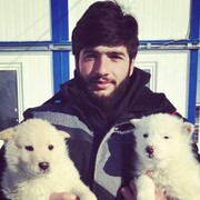  ,   David, 27 ,   ,   