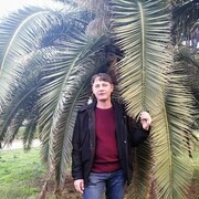 ���������� �����������, ���� ������� �������, 44 ����, ������������ ��� ������, ����� � ���������, c�������� ���������