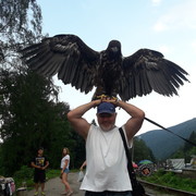  ,   , 56 ,   