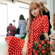 ���������� ����, ���� ������� ������, 28 ���, ������������ 