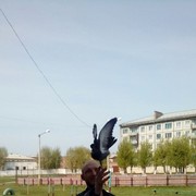 ���������� ��������, ���� ������� ���������, 38 ���, ������������ ��� ������, ����� � ���������, c�������� ���������