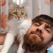 ,   , 41 ,   ,   