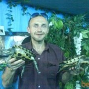 ���������� �����������, ���� ������� ����, 46 ���, ������������ ��� ����� � ���������, c�������� ���������