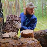 ���������� ������, ���� ������� ���, 27 ���, ������������ ��� ������, ����� � ���������