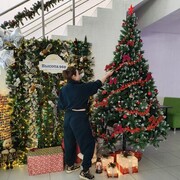 ���������� �����-�������, �������