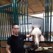 ���������� ������, ���� ������� Ը���, 28 ���, ������������ ��� ������, ����� � ���������, c�������� ���������, ���������