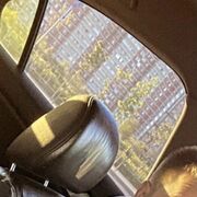 ���������� �������, ���� ����� ����, 24 ����, ������������ ��� ������, ����� � ���������